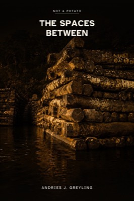 The Spaces Between cover