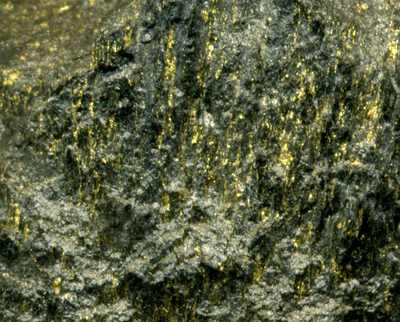 Witwatersrand carbon-leader gold ore — why the reef is so rich.