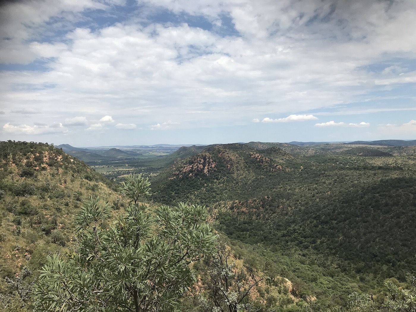 The Vredefort impact structure — the oldest scar on Earth.