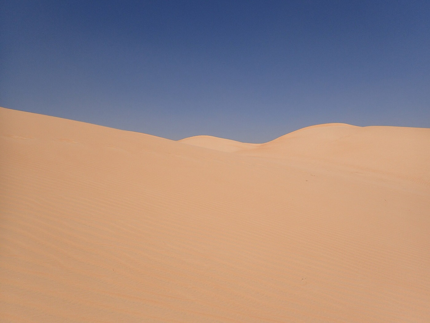 The deep Sahara — the real desert behind the paperback's romance.