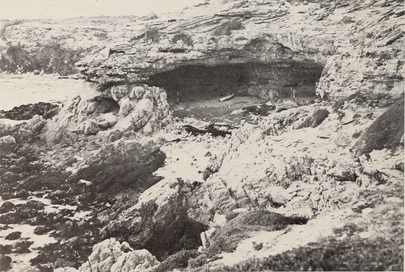 A shell midden in the dunes — the ordinary heap beneath which fiction placed its find.